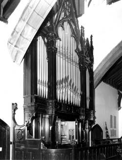 Organ